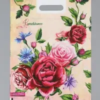 Пакет "Ренессанс, полиэтиленовый с вырубной ручкой 30х40 см, 60 мкм