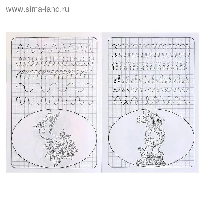 Прописи &laquo;Готовим руку к письму&raquo;