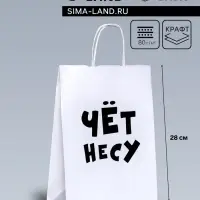 Пакет подарочный бумажный &laquo;Чёт несу&raquo;, 24&times;14&times;28 см