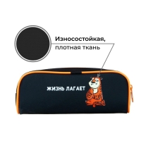 Пенал мягкий, 1 отделение, 80 х 210 х 40 мм, объёмный, Calligrata ПМО 21-20, "Тигр"