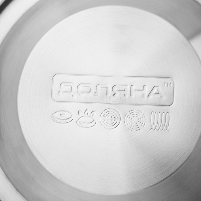 Чайник со свистком из нержавеющей стали Доляна &laquo;Мрамор&raquo;, 3 л, фиксированная ручка, цвет хромированный