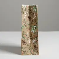 Пакет без ручек &laquo;Present for you&raquo;, 10 х 19.3 х 7 см