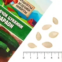 Семена Кабачок цуккини "Фараон", 1 г