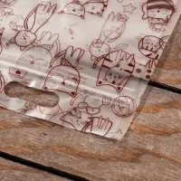 Пакет подарочный, с zip - lock застежкой, 15&times;23 см