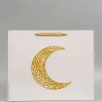 Пакет подарочный, упаковка &laquo;Священный праздник&raquo;, XL, 40 &times; 49 &times; 19 см