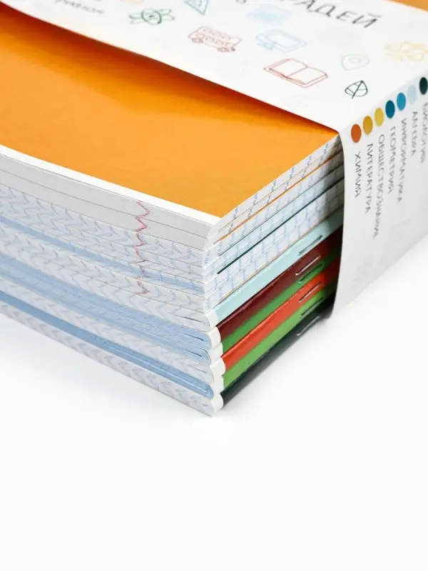 Тетради предметные, 48 л., набор из 12 шт., блок №1 &laquo;Палитра&raquo;