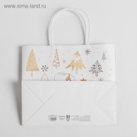 Пакет подарочный новогодний крафт &laquo;Волшебство&raquo;, 25 х 22 х 12 см