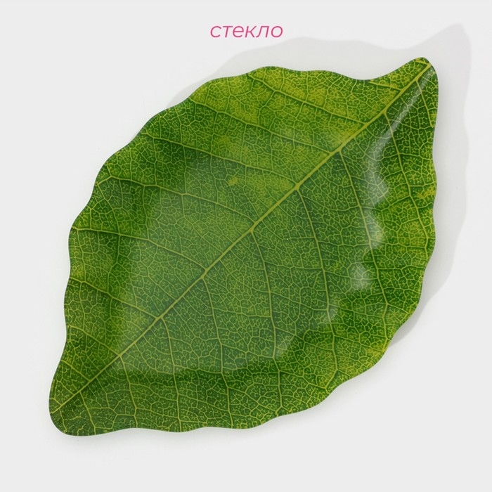 Блюдо сервировочное стеклянное Доляна &laquo;Лист&raquo;, 31&times;19 см, цвет зелёный