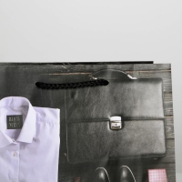 Пакет подарочный ламинированный, упаковка, &laquo;Стиль&raquo;, MS 23 х 18 х 8 см