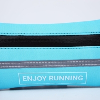 Сумка для бега поясная, на молнии, цвет голубой