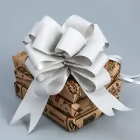 Бант - шар №4.5, серебро