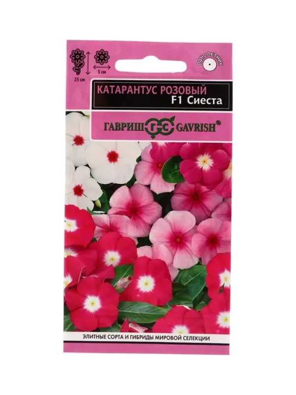 Семена цветов Катарантус Сиеста F1 (ассорти)* 5 шт.