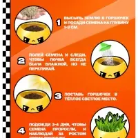 Набор для опытов &laquo;Выращиваем травку&raquo;