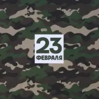 Бумага упаковочная крафтовая белая &laquo;23 февраля хаки&raquo;, 50 x 70 см
