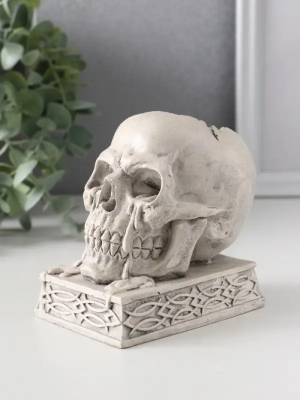 Подсвечник &laquo;Череп на пьедестале&raquo;, 10&times;7&times;10.5 см, серый