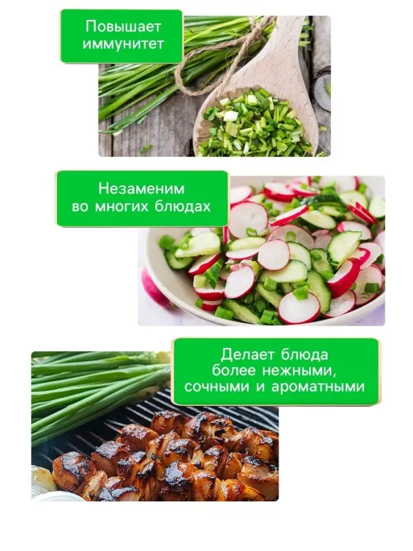 Семена Лук шнитт "Чемал", 0,2 г