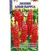 Семена Люпин Алые Паруса /Сотка/ 0,3 г/*1000