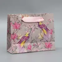 Пакет подарочный крафтовый, упаковка, &laquo;Птицы&raquo;, S 15 х 12 х 5.5 см