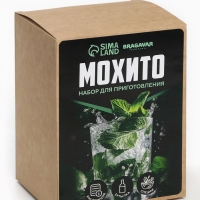 Набор для приготовления настойки &laquo;Мохито&raquo;, набор специй, штоф
