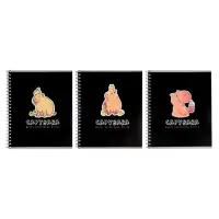 Компл тетр из 3шт 80л кл на гребне Capy, обл мел карт, офсет (7424104)