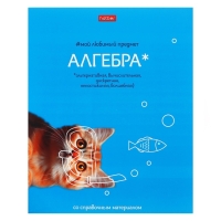 Тетрадь 48 листов в клетку &laquo;Мой любимый предмет&raquo; АЛГЕБРА, обложка мелованный картон, Soft-touch, с интерактивным справочником, блок офсет