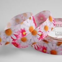 Лента репсовая &laquo;Ромашки&raquo;, 25 мм, 18 &plusmn; 1 м, разноцветная