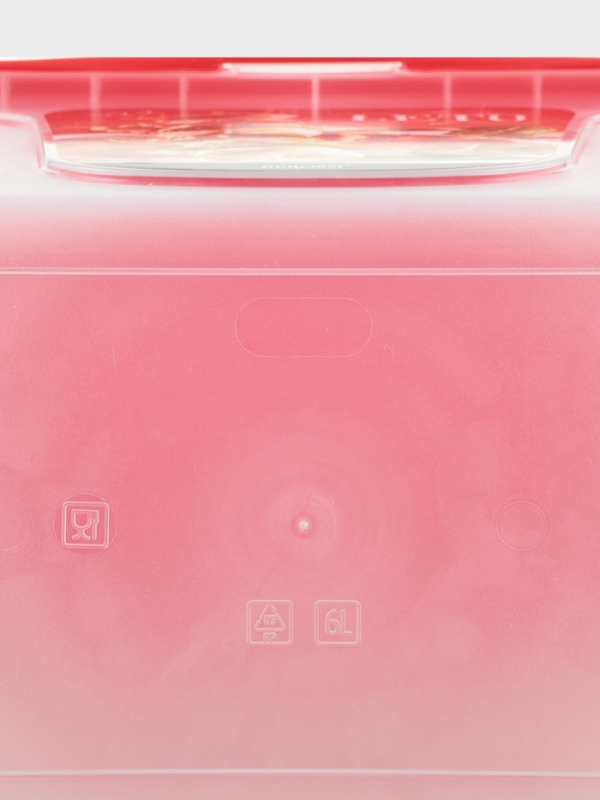 Контейнер для шашлыка c ручкой &laquo;Leto&raquo;, 6 л, пластик, прозрачный, крышка красная