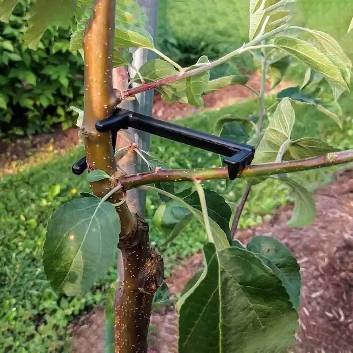 Веткодержатель, h=9 см, подпорка для деревьев, чёрный, Greengo