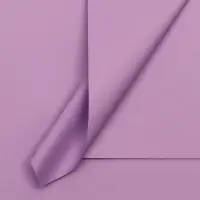 Пленка для цветов тонированная, матовая, глициневый, 57&times;57 см, 70 мкм