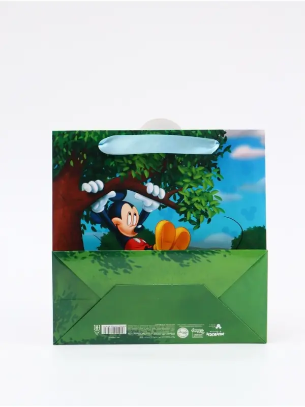 Пакет подарочный &laquo;Мышонок&raquo;, 22 &times; 22 &times; 10 см