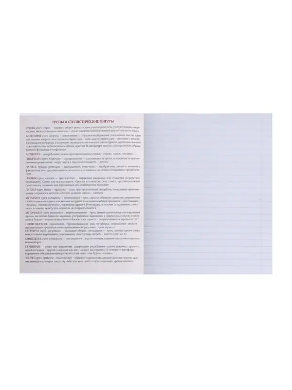 Предметная тетрадь по литературе Calligrata. MonoTone, 36 листов, в линейку, со справочным материалом, обложка из мелованной бумаги