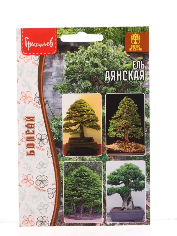 Семена цветов Ель Аянская 10 шт.  12.29 г.