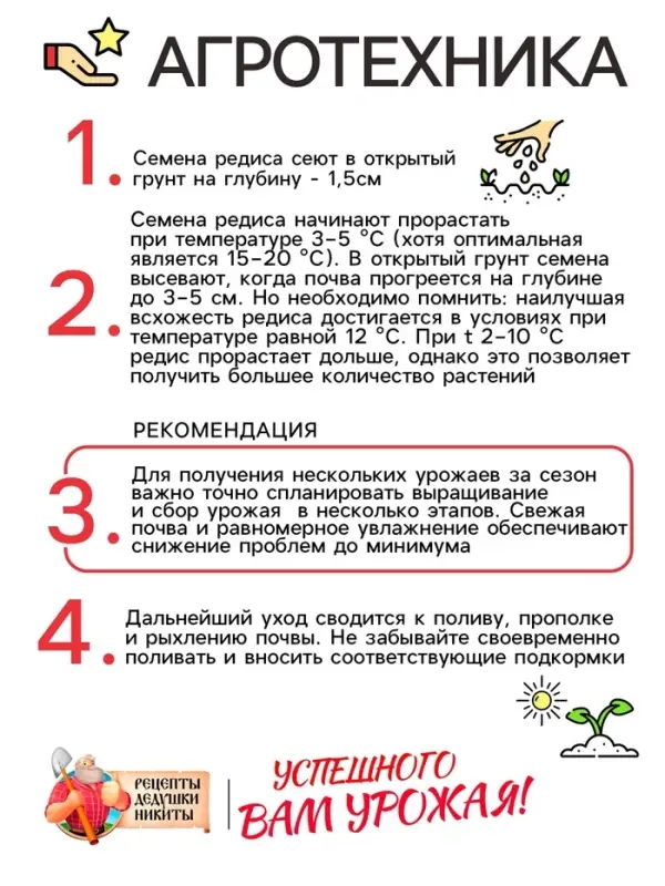 Семена Редис "Кинг-конг", 1,5 г