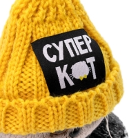 Мягкая игрушка &laquo;Басик в вязаном комплекте&raquo;, 19 см