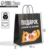 Пакет подарочный крафтовый, упаковка, &laquo;Киса&raquo;, 28 х 32 х 15 см