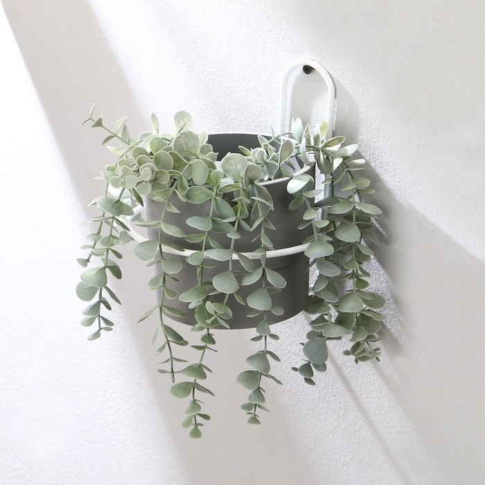 Подвес для кашпо, настенный, d = 16 см, белый, &laquo;Одиночка&raquo;