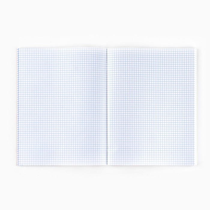 Тетрадь в клетку А4, 80 листов на скрепке &laquo;1 сентября:Аниме пара&raquo;