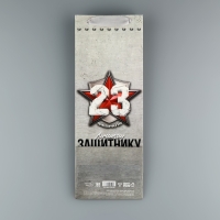 Пакет подарочный ламинированный под бутылку, упаковка, &laquo;Защитнику&raquo;, 23 февраля, 13 x 35 x 10 см