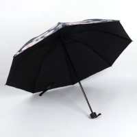 Зонт механический &laquo;Пионы&raquo;, эпонж, 4 сложения, 8 спиц, R = 48/56 см, D = 112 см, цвет МИКС