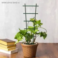 Шпалера, 56 &times; 19 &times; 0.5 см, пластик, цвет МИКС, &laquo;Лесенка&raquo;