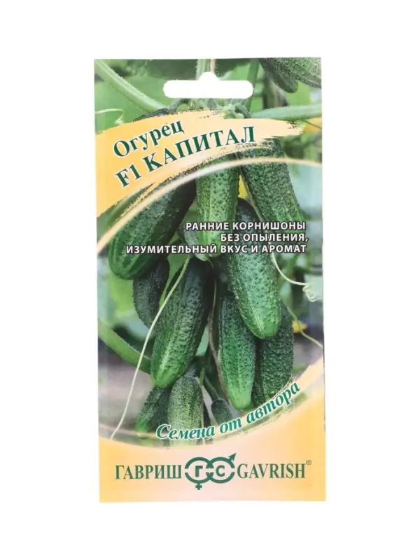 Семена Огурец Капитал F1 10 шт. автор.