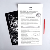 Гравюра &laquo;Котёнок&raquo; с металлическим эффектом &laquo;серебро&raquo; А4