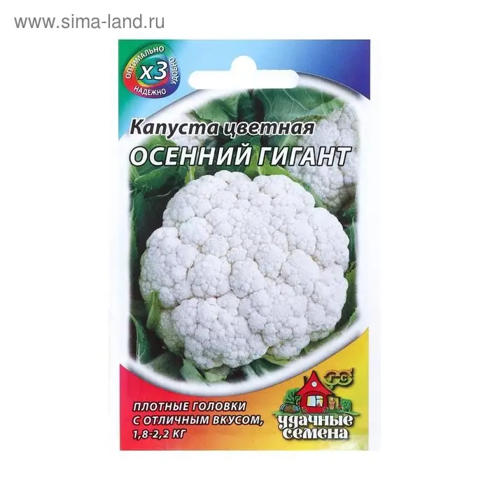 Семена Капуста цветная "Осенний гигант", ц/п, 0,1 г серия ХИТ х3