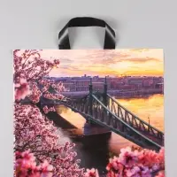 Пакет "Дунай", полиэтиленовый с петлевой ручкой, 38 х 34 + 3 см, 70 мкм