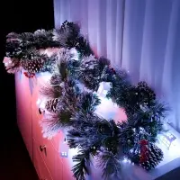 Хвойная гирлянда фиброоптическая &laquo;Заснеженная&raquo; 200 см, 8 режимов