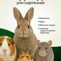 Сено луговое с веточками смородины &laquo;Пижон&raquo; для грызунов, 20 л, 500 г