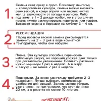 Семена Мангольд "Павлиний хвост", смесь, 1 г