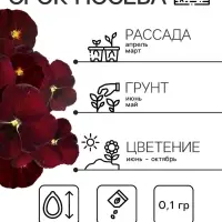 Семена Виола "Красное вино", 0,1 г