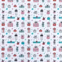 Бумага глянцевая &laquo;Подарок&raquo;, 40&times;60 см