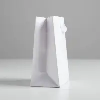 Пакет подарочный, упаковка &laquo;Белый&raquo;, 12&times;15&times;5.5 см
